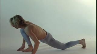 Hatha yoga pour tous (débutant)