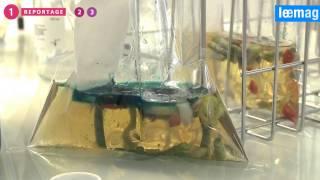 Antibiotiques & Antibiorésistance