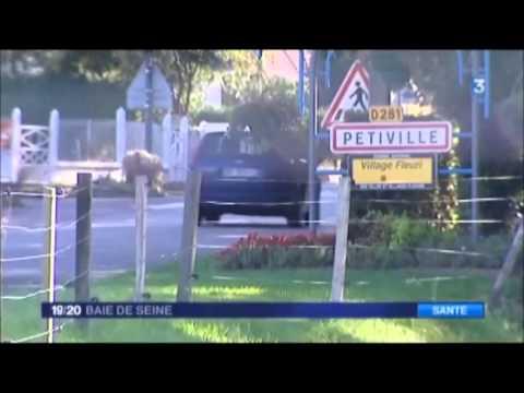 Mutuelle Petiville