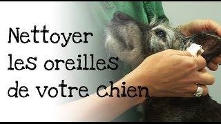 Mutuelle Animaux