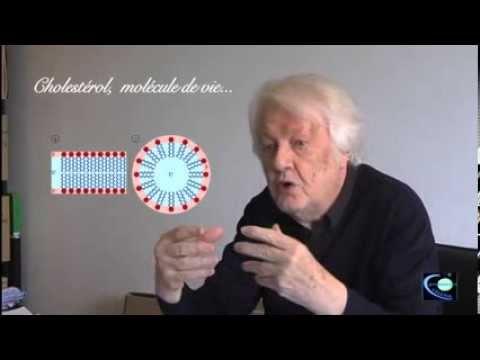 Cholestérol, Pourquoi Tant De Haine...