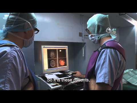 Maladie De Parkinson: De La Cellule à L'homme (Parkinson's Disease: From Cell To Human)