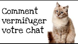 Comment vermifuger votre chat ?