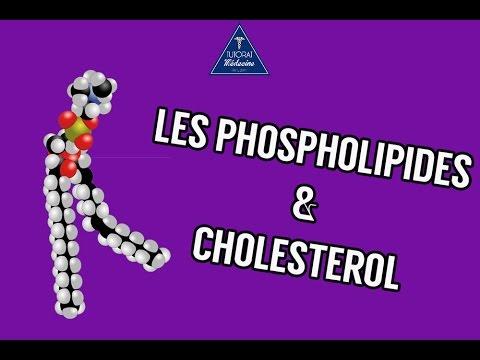 Phospholipides Et Cholestérol