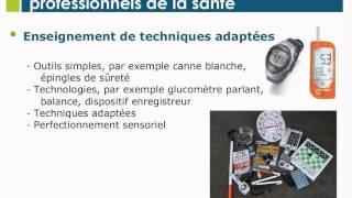 Adaptation à la perte de vision