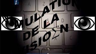 Logiciel Simulation De La Vision VisionSim DMLA Rétinite Pigmentaire Décollement Rétine Glocome