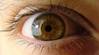 DMLA : bien manger c’est aussi prendre soin de ses yeux