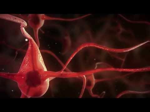Mécanismes Et Secrets De La Maladie D'Alzheimer : Le Cerveau à La Loupe
