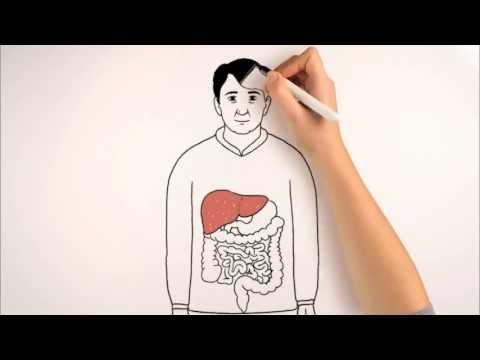 [CHOLESTEROL] Qu'est Ce Que Le Cholestérol ?