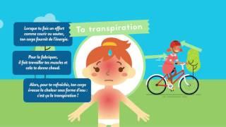 Effets de l’activité physique sur le corps