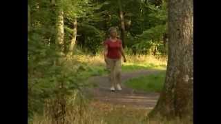 Les seniors et l'activité physique