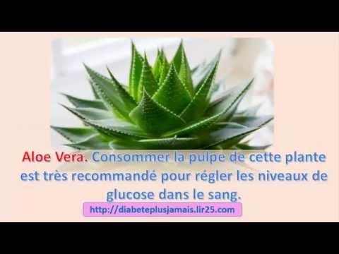 Remèdes Naturels Pour Combattre Le Diabète